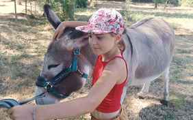 Auf Tuchfühlung mit den Eseln...